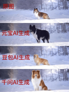 进一步逃踪收款后的去向