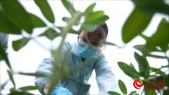 I正以史无前例的速度鞭策科研历程